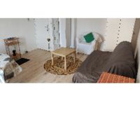 Vignette de l'annonce Logement hypercentre 1 a 2 personnes