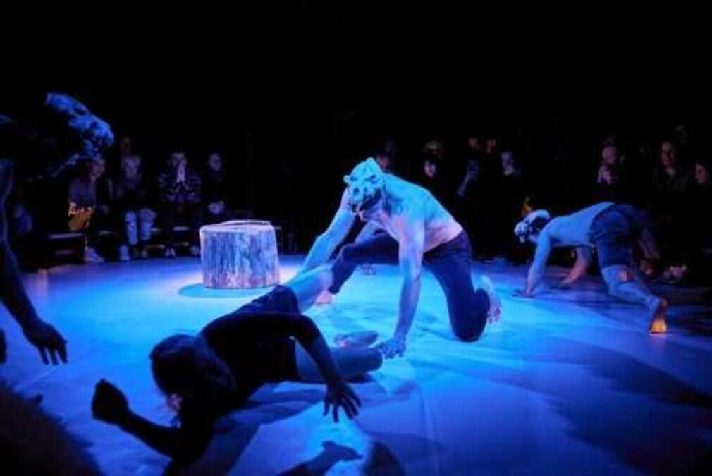 0 Photo de l'revue_presse' Reclaim, toucher au cirque