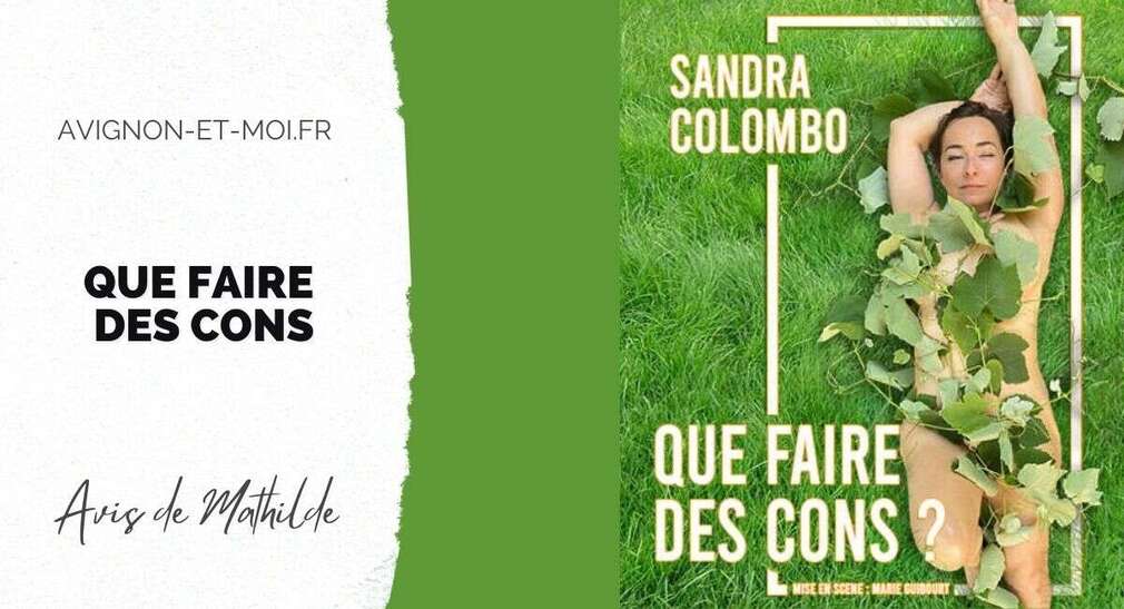 0 Photo de l'revue_presse' Que faire des cons - Théâtre - Critique - Avignon Off