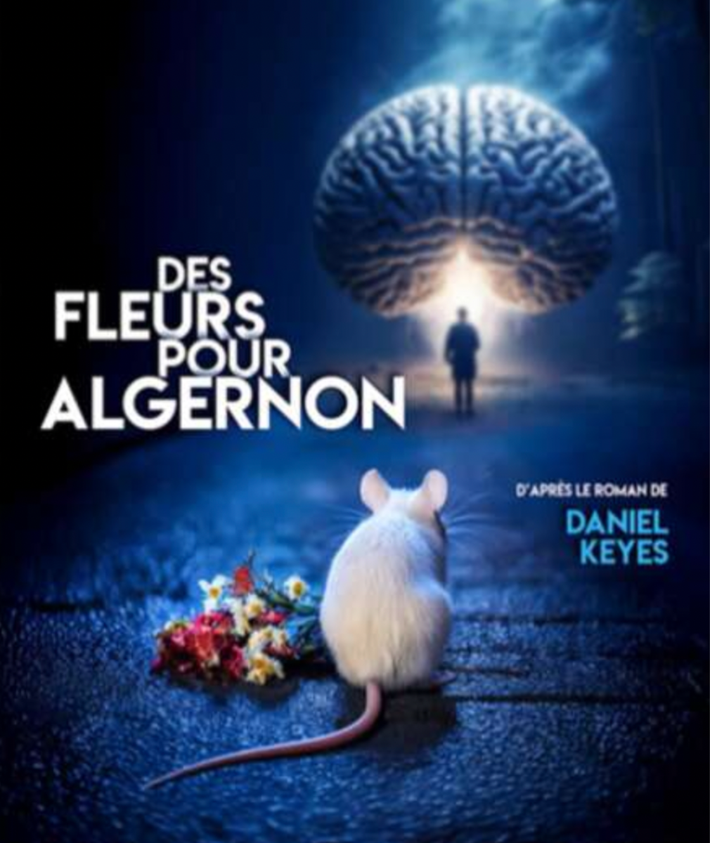 0 Photo de l'revue_presse' Des Fleurs pour Algernon de Daniel KEYES au Théâtre du Roi René 4 Bis rue Grivolas 84000 AVIGNON du 5 au 26 Juillet 2025 à 9 H 45. Durée 1 H 05. Relâche les 9, 16, 23 Juillet.