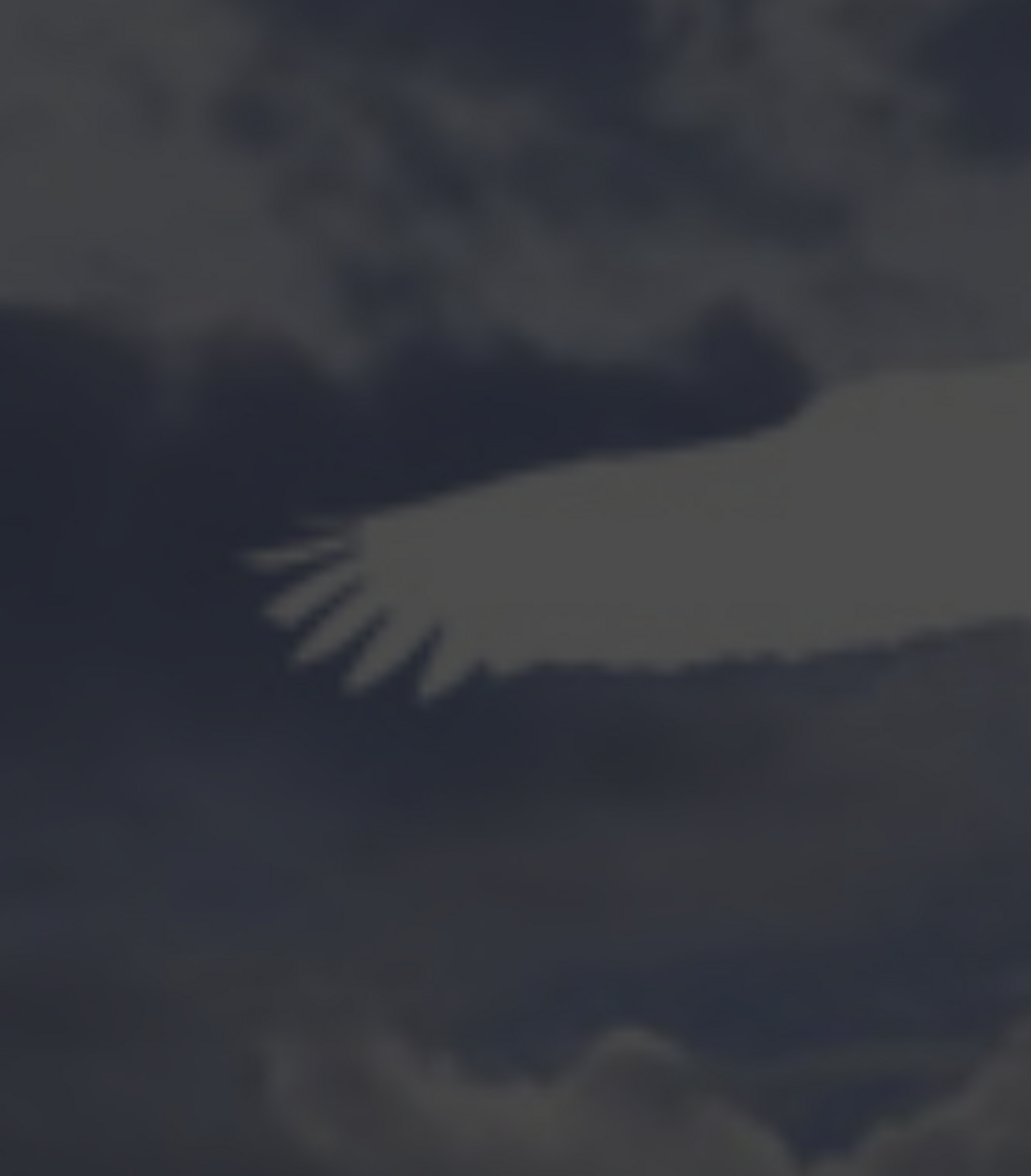 Anatomie d ‘une actrice ( Avignon Off 2025)