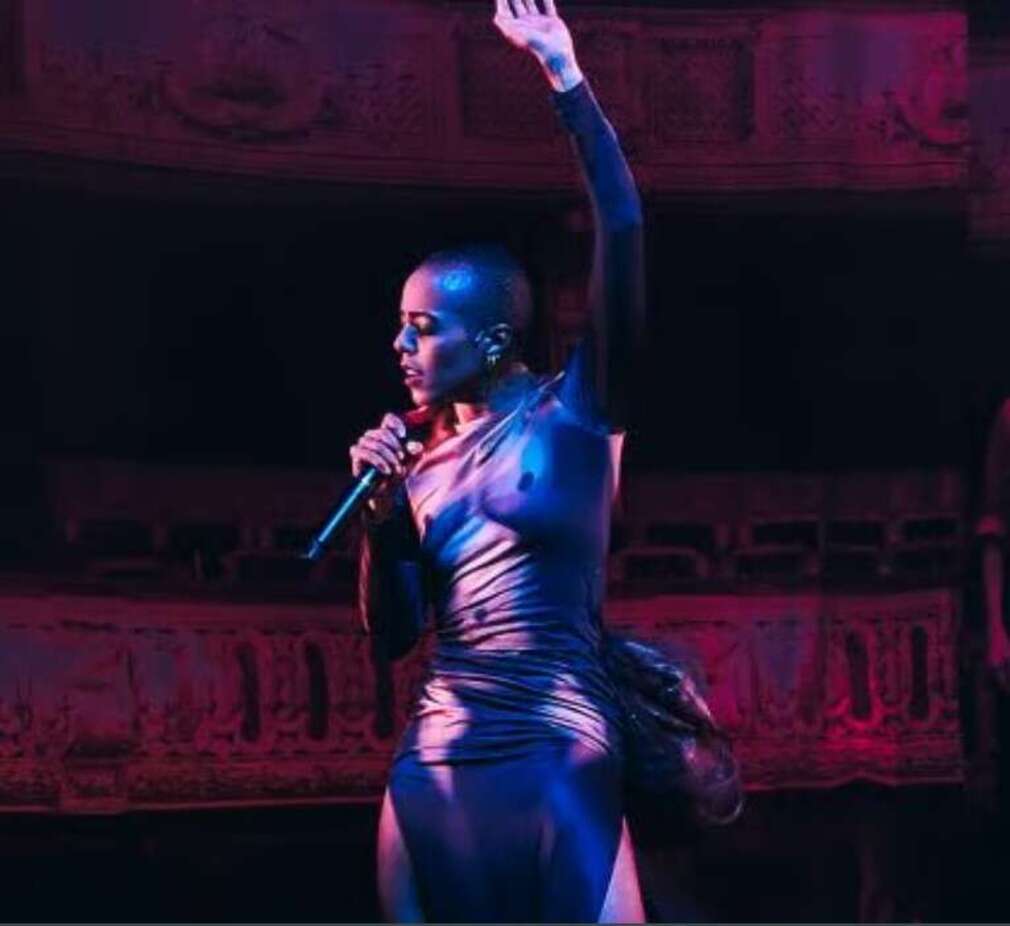 0 Photo de l'revue_presse' Un pas de chat sauvage, on aime beaucoup