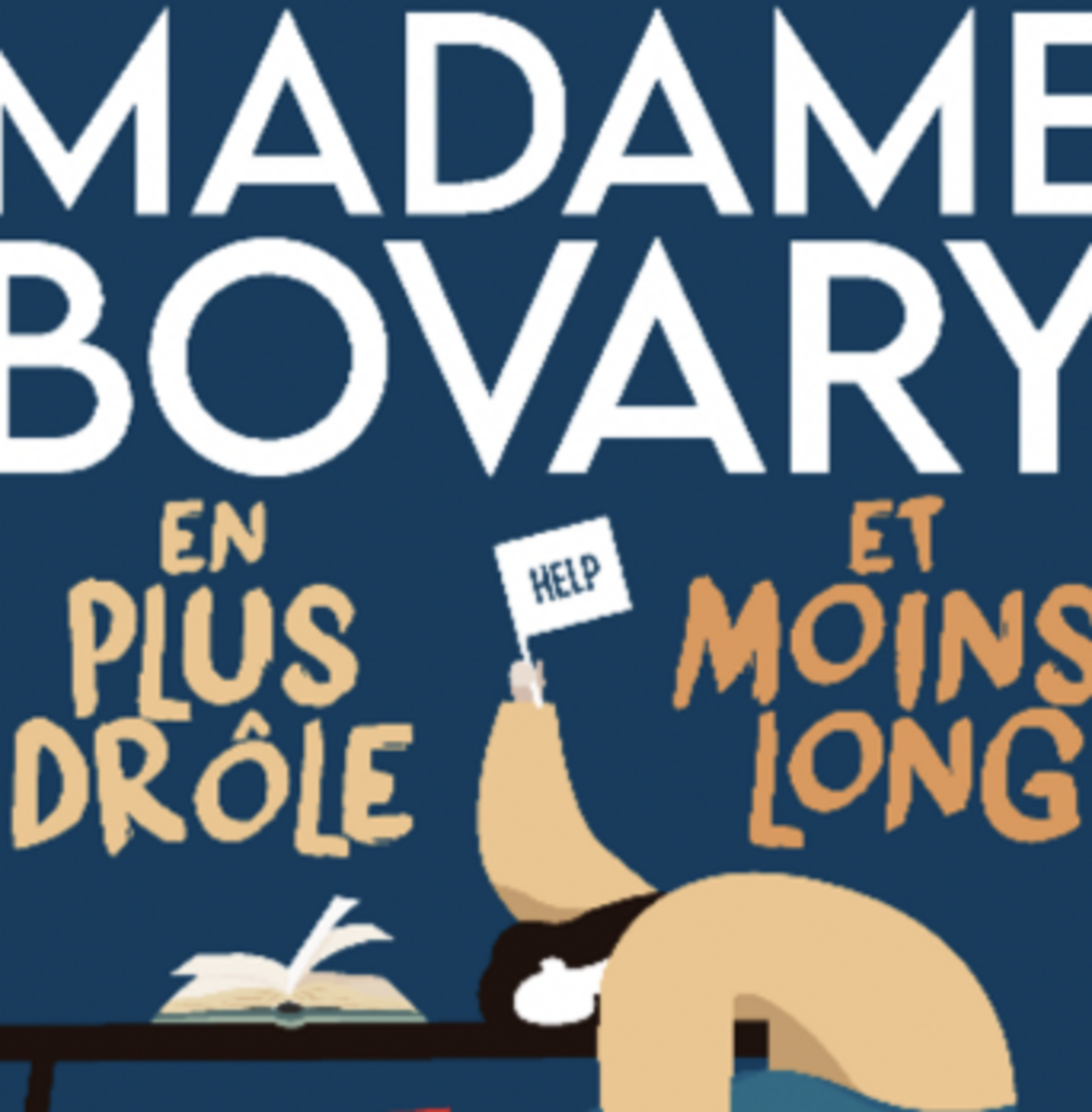 Madame Bovary en plus drôle et moins long