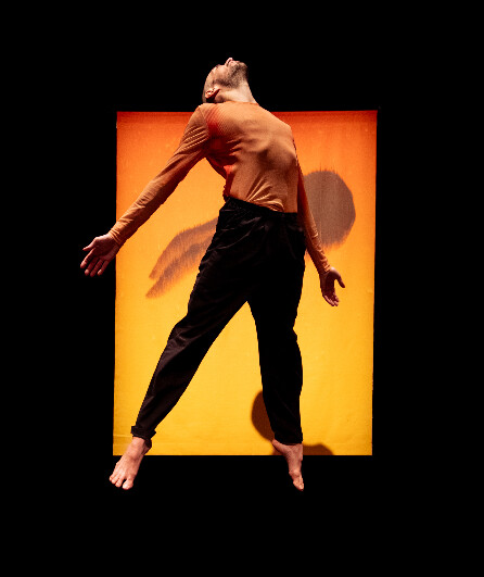 Affiche du spectacle Terre 1