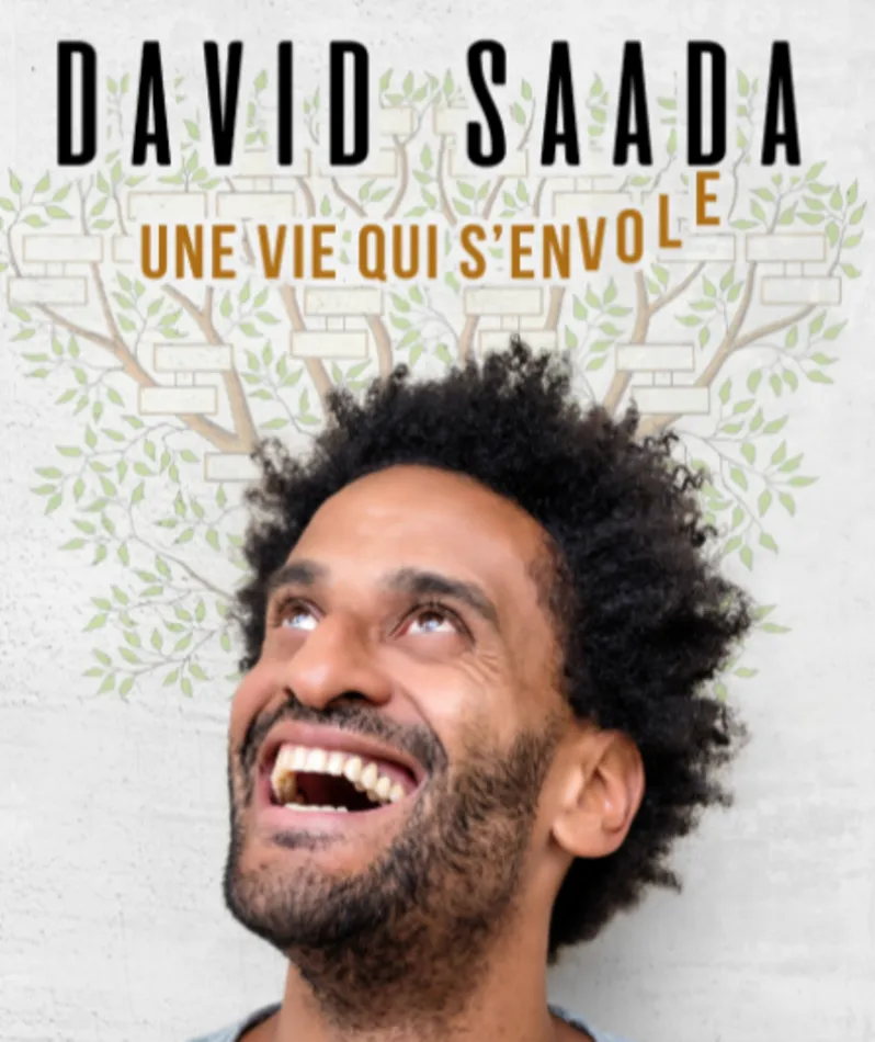 Affiche du spectacle David Saada - Une vie qui s'envole