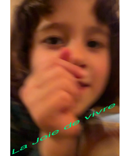 Affiche du spectacle La joie de vivre