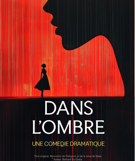 Affiche du spectacle Dans l’ombre
