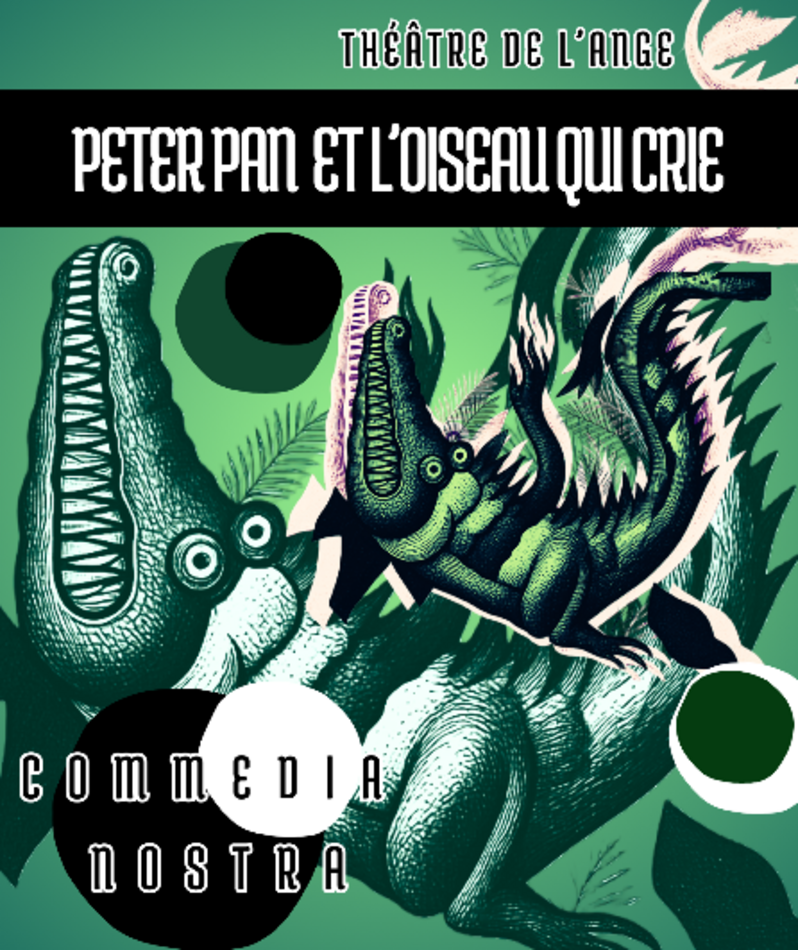 Affiche du spectacle Peter Pan et l'Oiseau qui crie