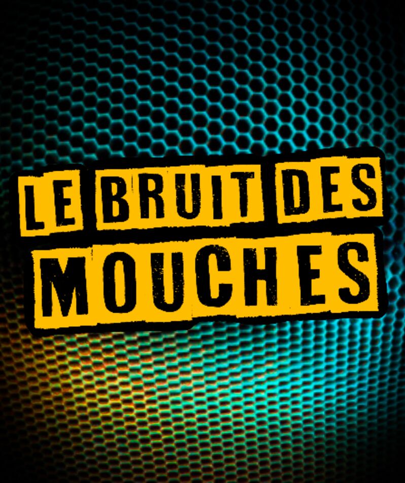 Affiche du spectacle Le Bruit des Mouches