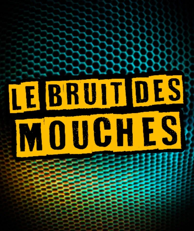 Affiche du spectacle Le Bruit des Mouches