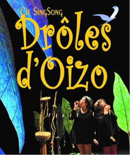 Affiche du spectacle Drôles d'oizo