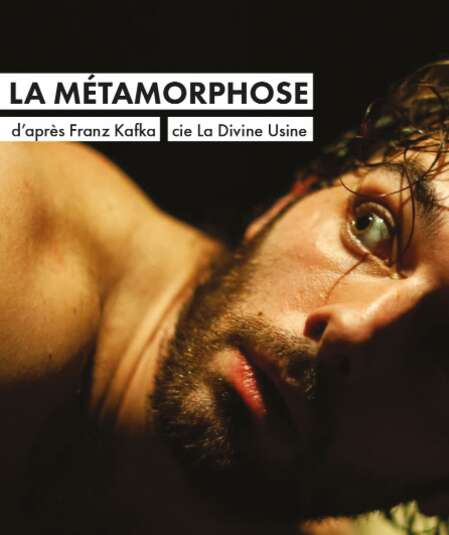 Affiche du spectacle La métamorphose
