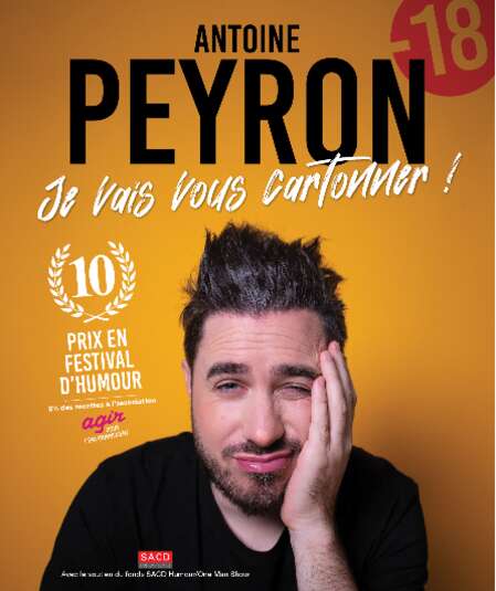 Affiche du spectacle Je vais vous cartonner