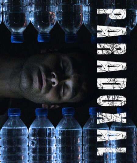 Affiche du spectacle Paradoxal
