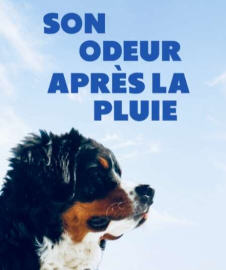 Affiche du spectacle Son odeur après la pluie