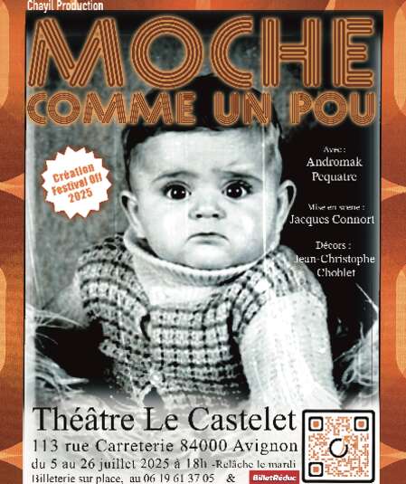 Affiche du spectacle Moche comme un pou