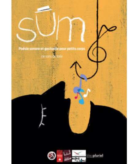 Affiche du spectacle Sum