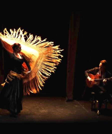 Affiche du spectacle Flamencodanza