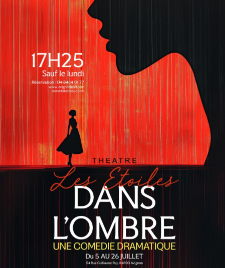 Affiche du spectacle Dans l'ombre