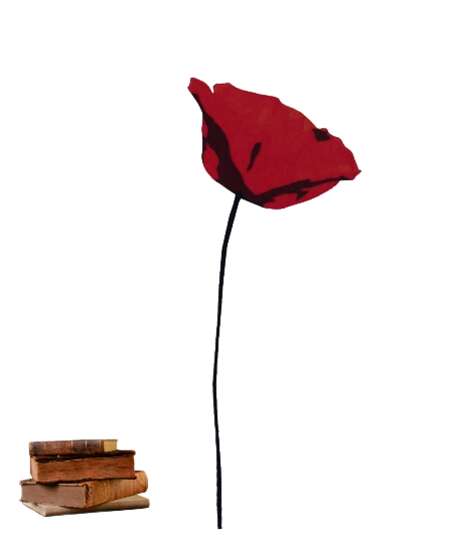 Affiche du spectacle Tant qu'il y aura des coquelicots