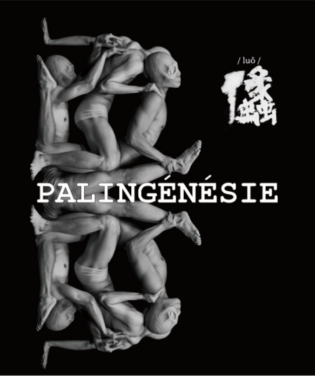 Affiche du spectacle Palingénésie