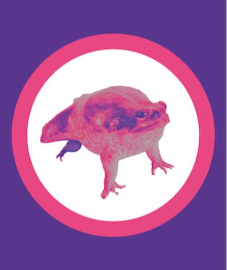 Affiche du spectacle La lente et difficile agonie du crapaud buffle sur le socle patriarcal