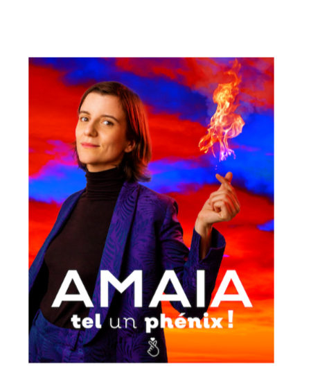 Affiche du spectacle Tel un phénix !