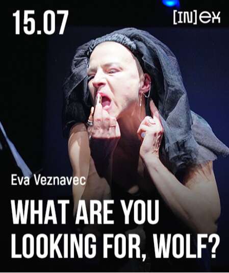 Affiche du spectacle Que Cherches-Tu, Loup ?