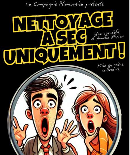 Affiche du spectacle Nettoyage à sec uniquement !