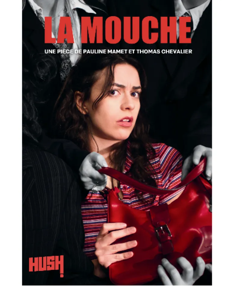 Affiche du spectacle La Mouche