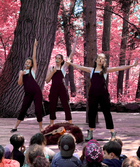 Affiche du spectacle L'Ourse