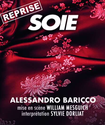 Affiche du spectacle Soie