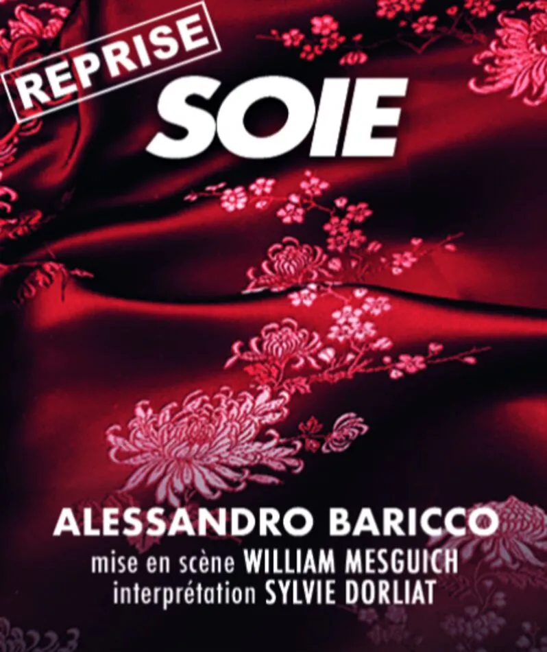 Affiche du spectacle Soie
