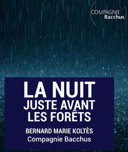 Affiche du spectacle La nuit juste avant les forêts