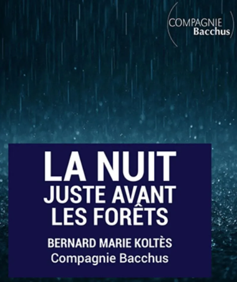 Affiche du spectacle La nuit juste avant les forêts