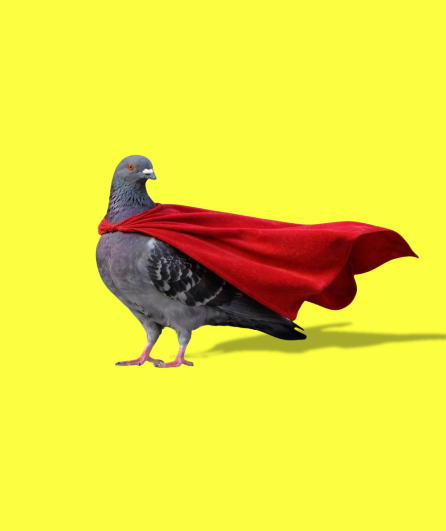 Affiche du spectacle Entre Les Cases