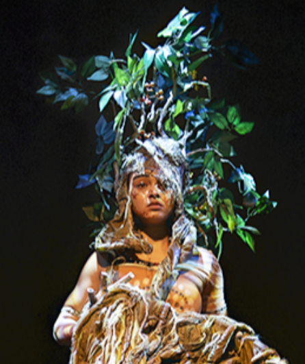 Affiche du spectacle L'Enfant de l'Arbre