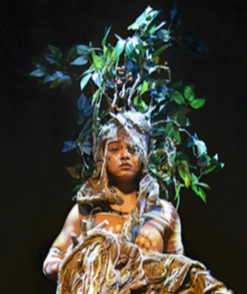 Affiche du spectacle L'Enfant de l'Arbre