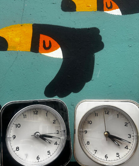 Affiche du spectacle binôme, le poète et le savant