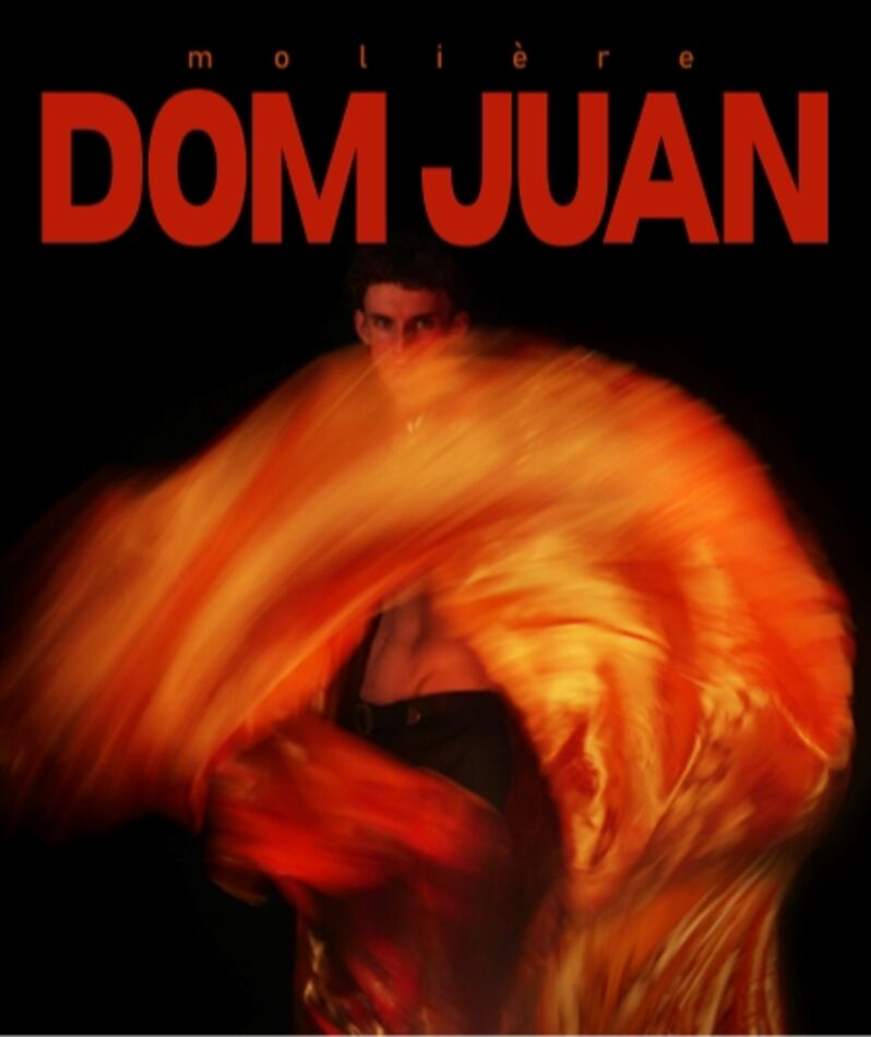 Affiche du spectacle Dom Juan