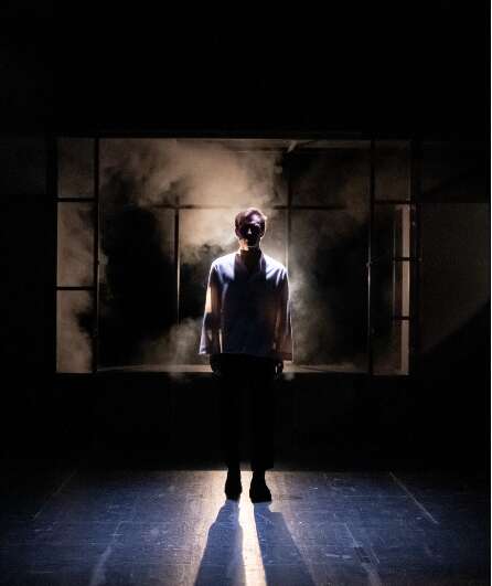 Affiche du spectacle La Vague