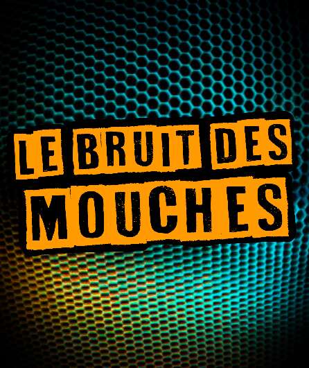 Affiche du spectacle Le Bruit des Mouches