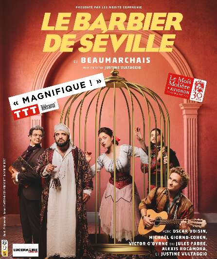 Affiche du spectacle Le Barbier de Séville