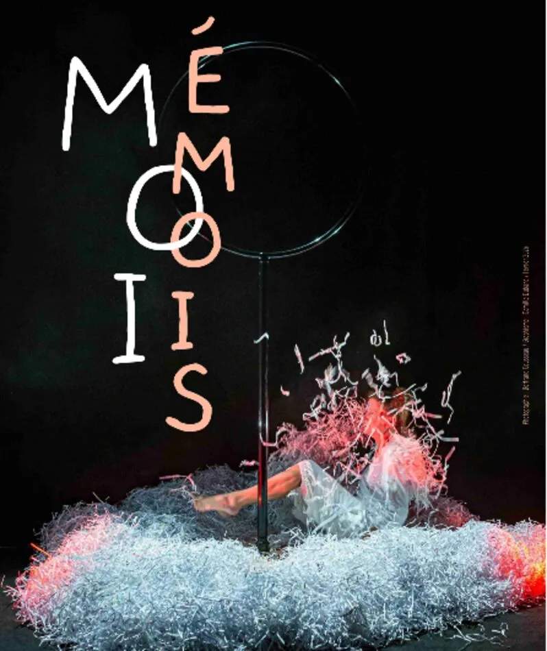 Affiche du spectacle Moi Emois