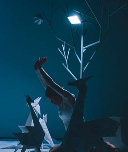 Affiche du spectacle Imagori