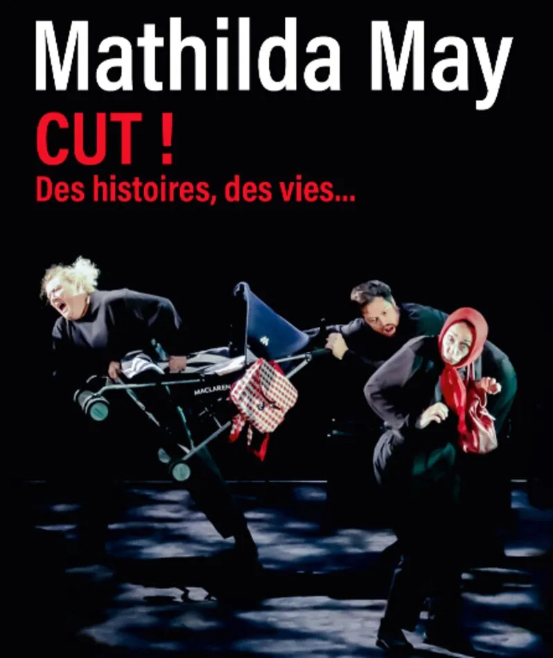 Affiche du spectacle Cut ! Des histoires, des vies...