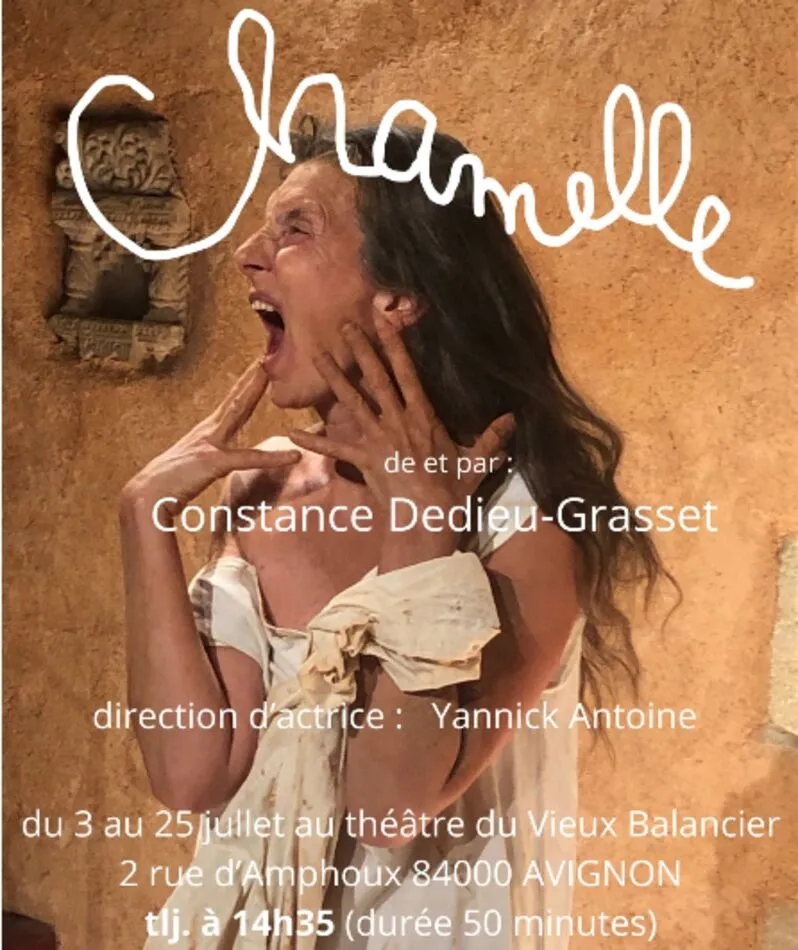 Affiche du spectacle Chamelle