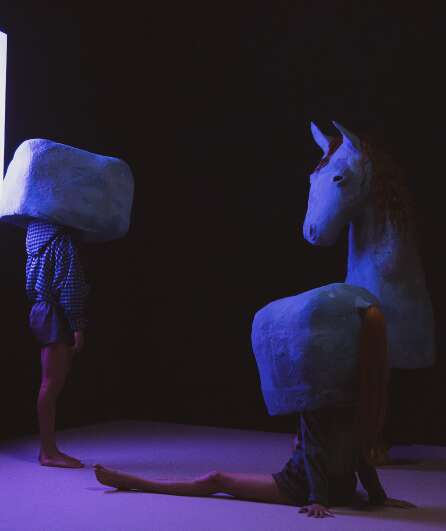 Affiche du spectacle Le Cheval qui peint
