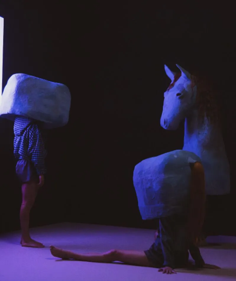 Affiche du spectacle Le Cheval qui peint