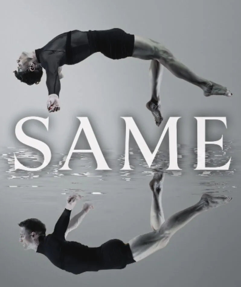 Affiche du spectacle S A M E